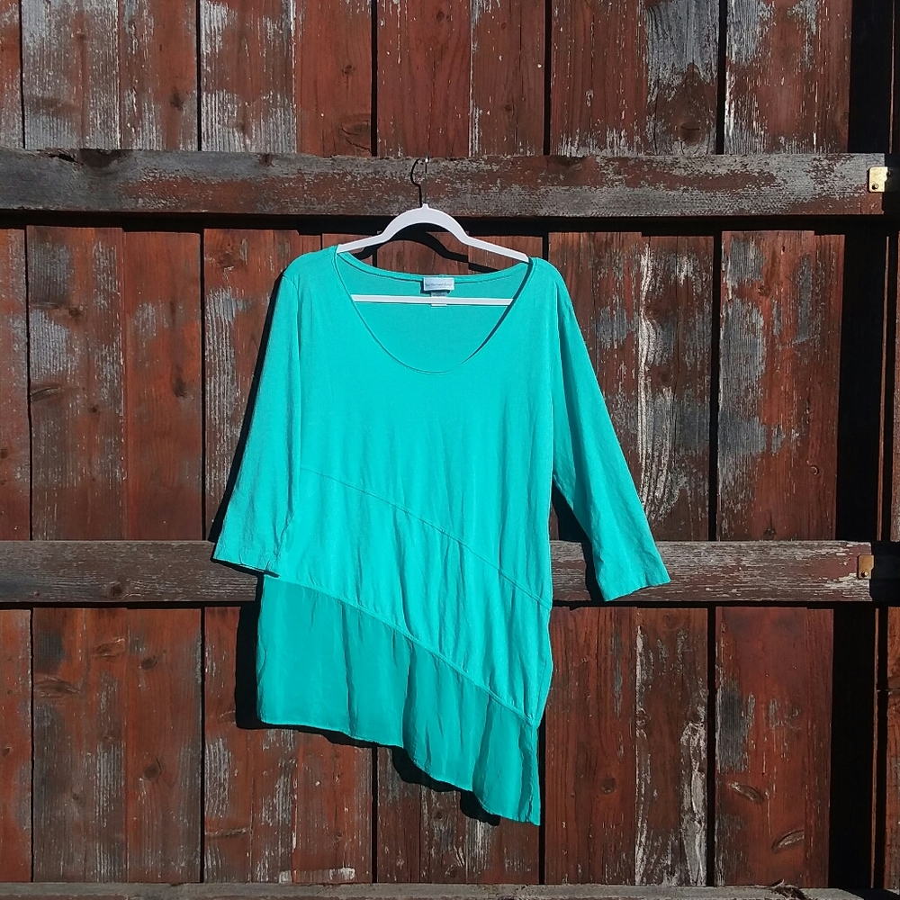 Soft Surroundings L Asymmetrical Tunic